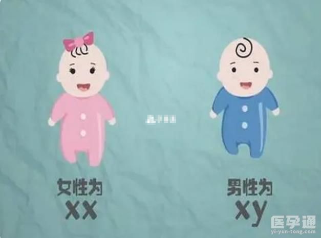 云南试管婴儿可以选择性别么？附上法律和伦理问题！