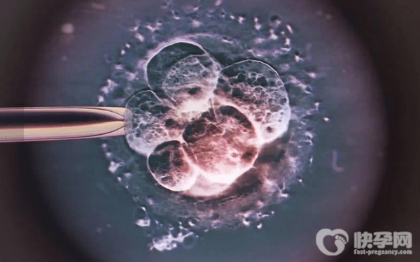 2023国家卫健委科研所做赠卵试管婴儿费用要多少钱？