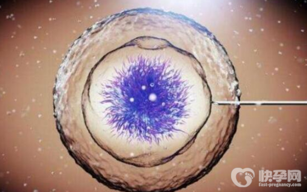 想在公立医院做赠卵试管的费用是多少？