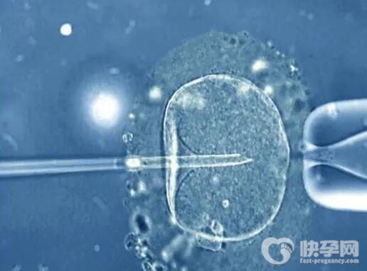 2024和田三代试管选男孩费用多少？