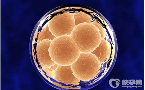 2023年在公立医院做赠卵试管婴儿的费用分析！请查看