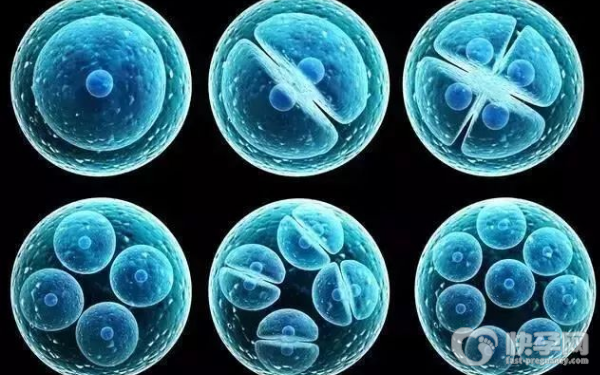 2023国内能选择性别的试管医院介绍！附赠卵试管费用估算