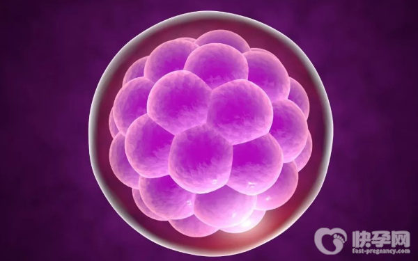 国内哪些医院可以选择男女做试管？这要花多少钱？