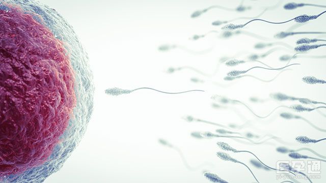 申请精子库人工授精除了子宫无异常之外还有哪些条件？