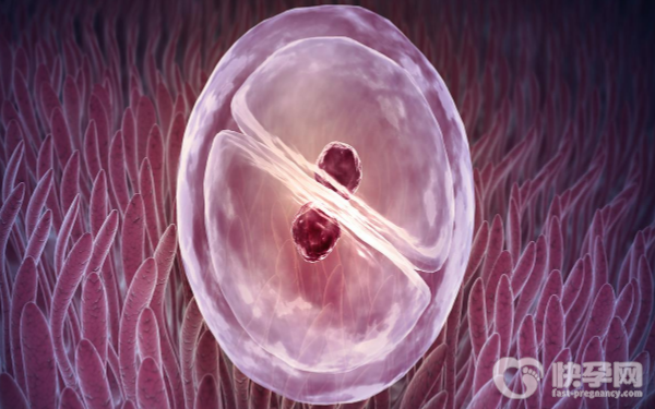 广州公立医院做赠卵试管有哪几家？