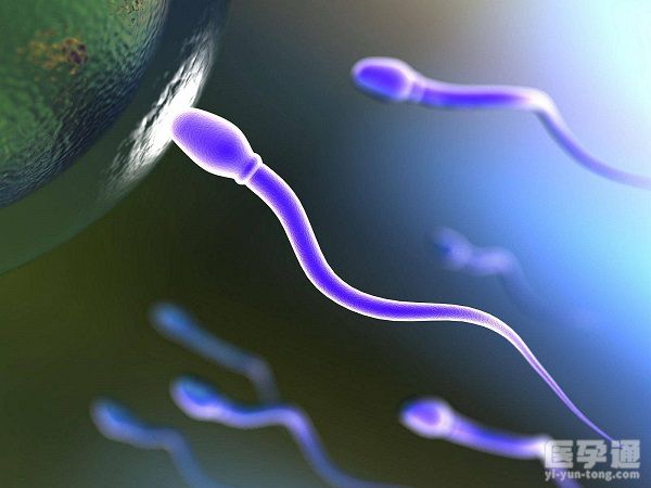 老公精子顶体酶低于正常范围做人工授精一次成功率高吗?