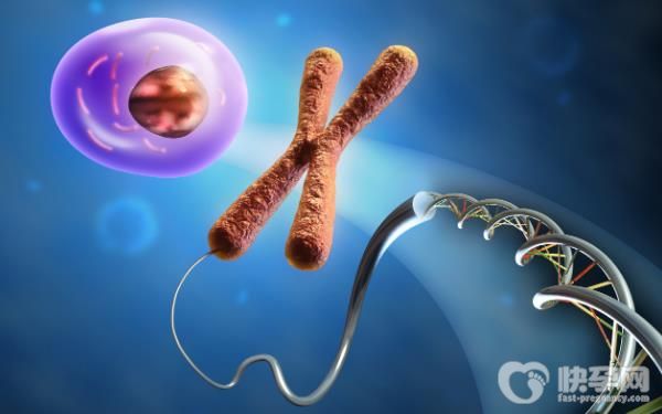 2023国内赠卵生子试管价格分析！附节省试管成本的技巧