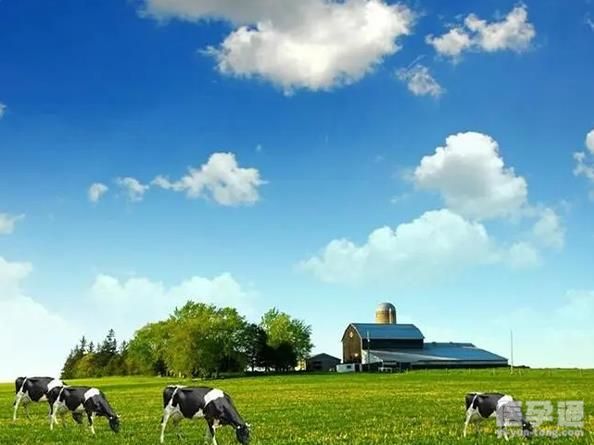 深度评测美可卓蓝胖子奶粉，一份来自澳洲的调制乳粉!