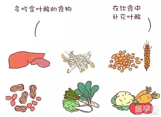 叶酸含量丰富的水果排行榜来了，前十名竟然都很常见！