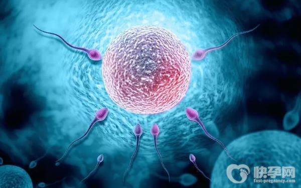 2023包生男宝试管婴儿医院排名！看完心中就有数