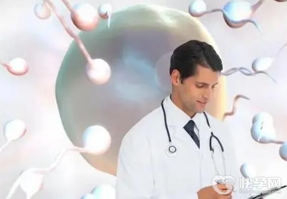 三代试管选择做男孩费用一般花多少钱？