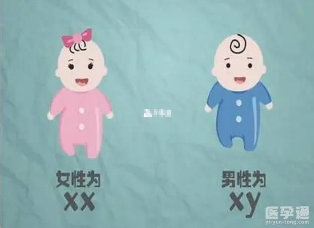 国内的私人医院可以查出男性精子中xy的比例吗?