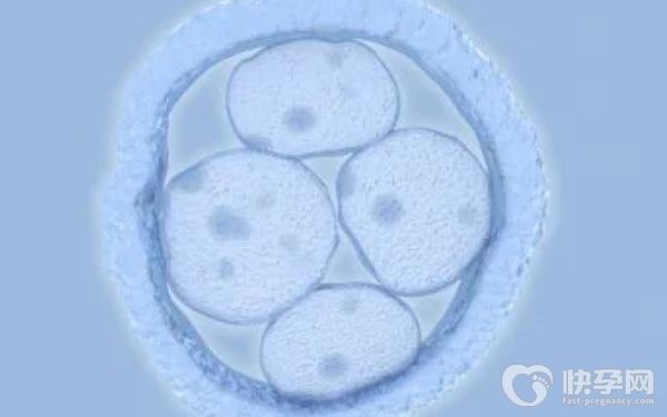 不孕不育想生男孩做赠卵试管婴儿？需要满足5个条件