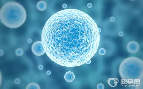 潮州试管助孕赠卵卵生子费用要花多少钱？