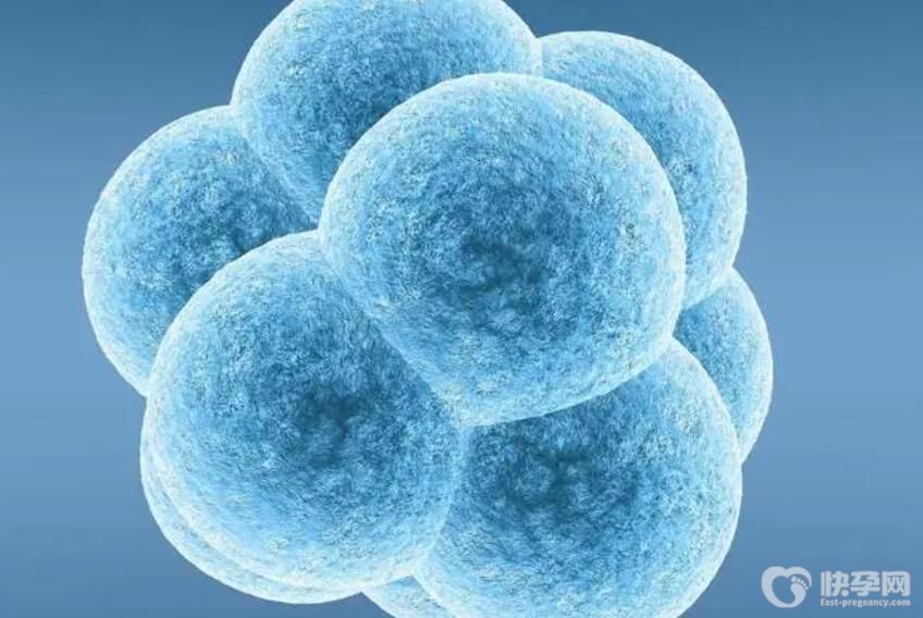 银川做试管选男女费用一般要花多少钱？