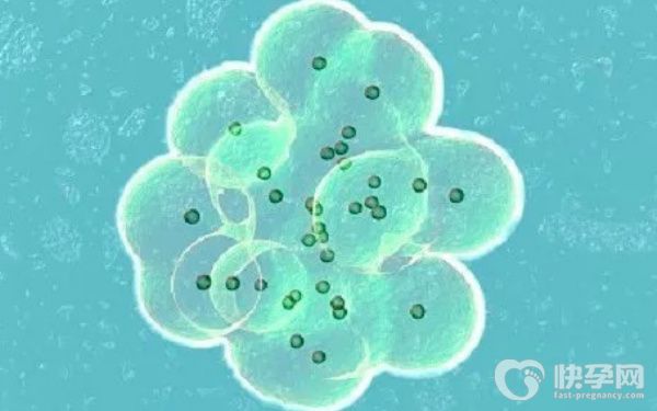 不孕夫妻赠卵生子需结合实际情况！2023赠卵试管生子费用一览