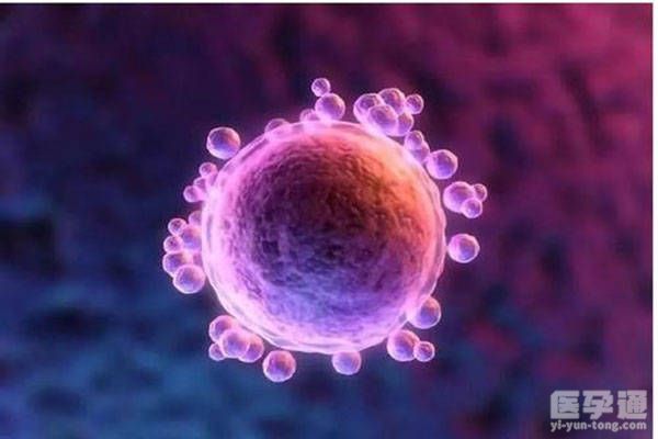 卵巢不好做试管婴儿该如何应对？附解决方法介绍！