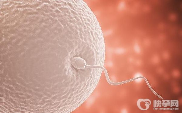 单身男性借卵做试管要花多少钱？