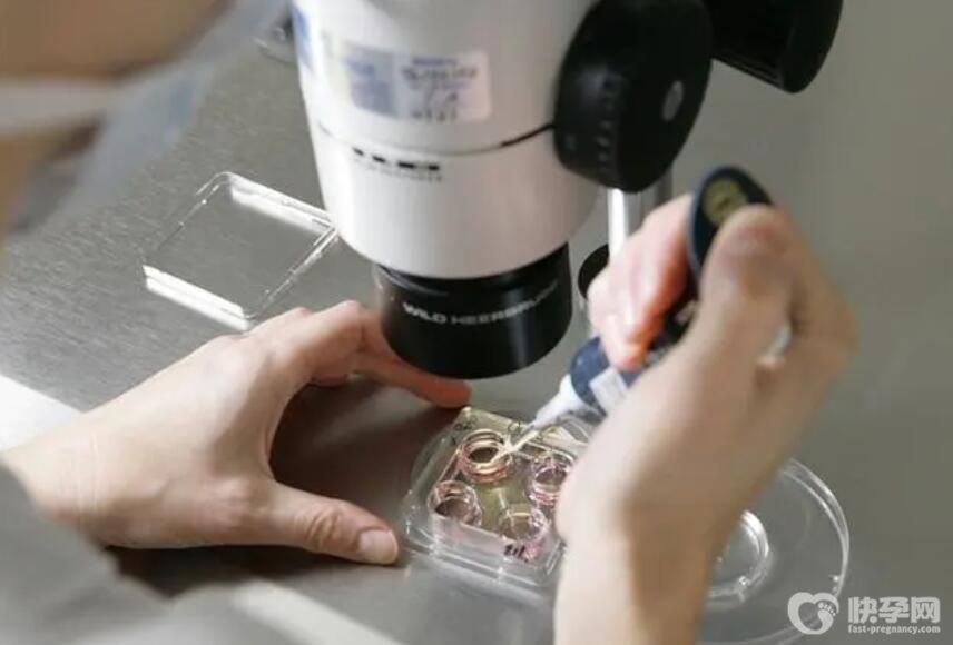 2024潍坊市妇幼保健院三代试管男孩费用多少？