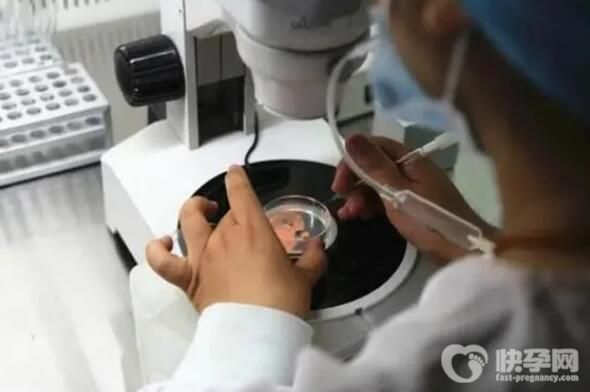 2024济宁三代试管男孩费用要花多少钱？