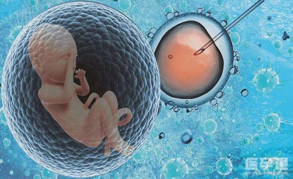 les在国内私立医院可以做试管婴儿怀孕生子吗？