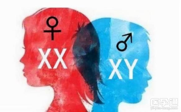 桂林924医院做三代试管婴儿可以选择性别么？