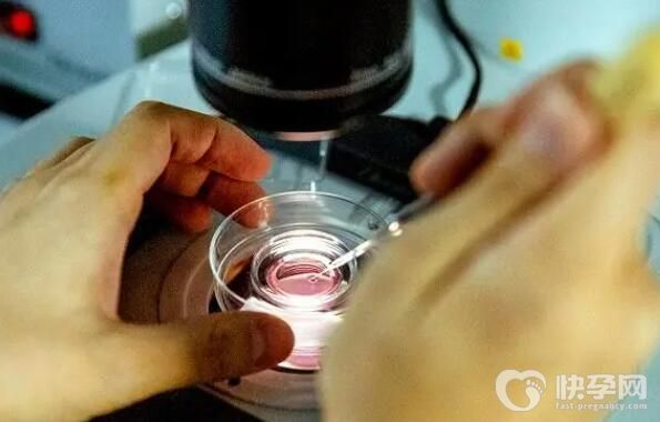 三代试管真的可以百分百要男女吗？选男孩要花多少钱？