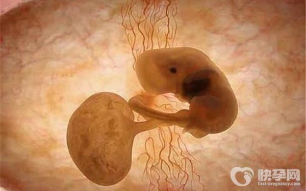 北京赠卵生男孩包成功费用多少钱？看完恍然大悟