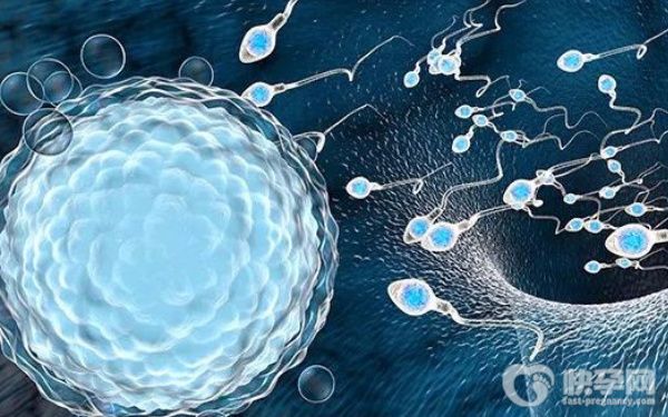 2023年成都三家有资质做三代试管性别选择的医院！