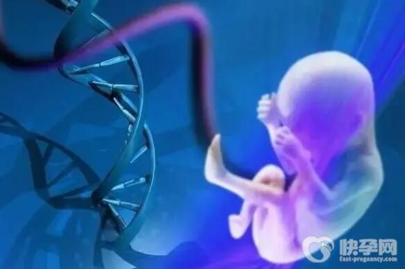 襄阳试管婴儿三代选男孩要花多少钱？