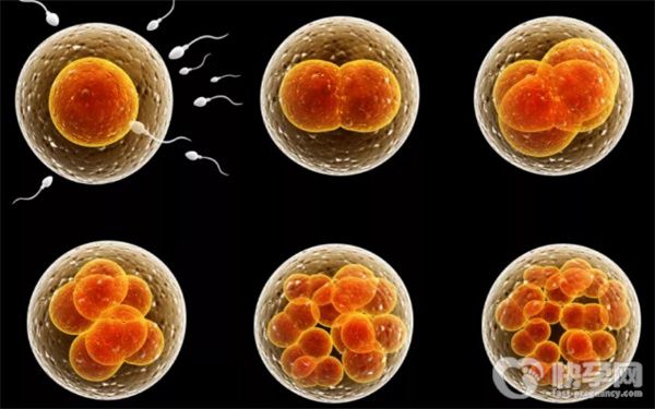 泰国杰特宁医院做试管婴儿选男孩需要多少钱？