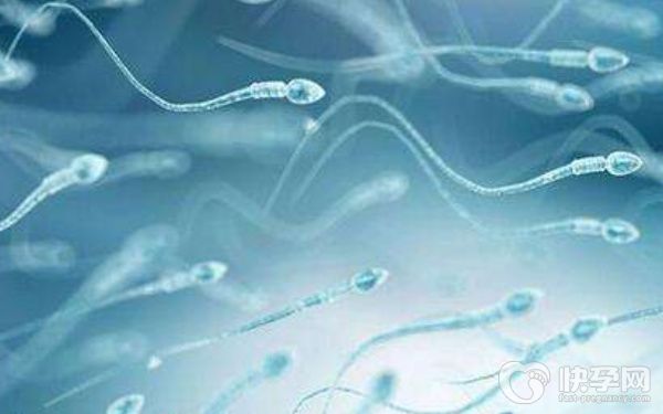 无锡三代试管选男孩费用是多少！附成功率一览！