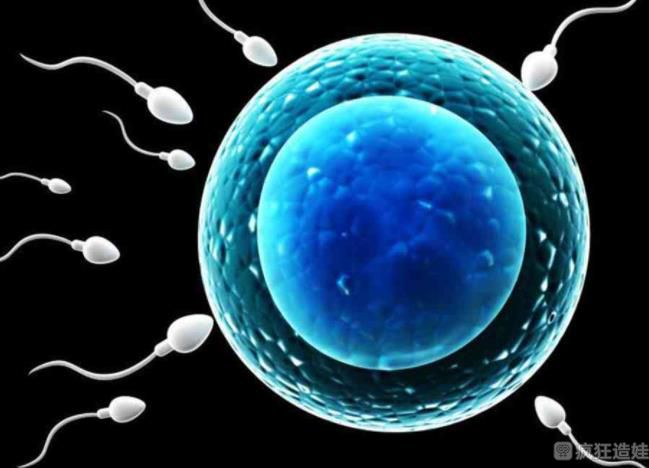 揭阳供卵第三代试管婴儿医院排名？哪家医院试管胚胎移植成功率最高？