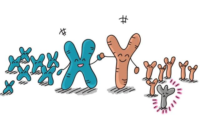 一分钟讲清三代试管如何选择性别，男女比例有失衡倾向？