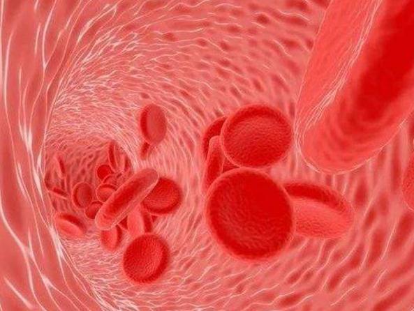 中信湘雅医院做二代试管婴儿前为什么女方要查凝血四项?