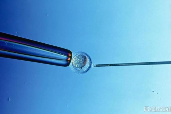 武汉大学中南医院可以做供卵第三代试管婴儿吗？试管婴儿胚胎移植成功率高吗？