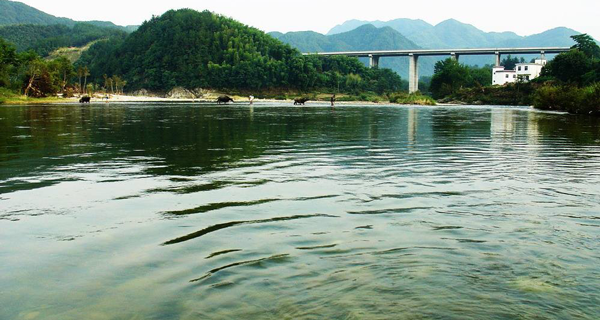 高龄备二/三胎，从潜山市到美国做试管婴儿需要费用