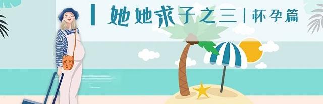 拉拉试管婴儿婚育攻略合辑，我们只在乎是否为自己而活！