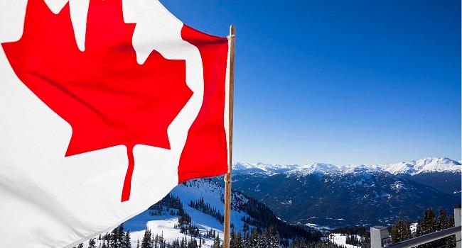 拉拉试管婴儿攻略|加拿大IUI/IVF政策、流程与费用提前要知道