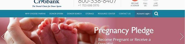 单身女性&拉拉造娃生育之精子费用明细