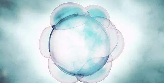 畸胎瘤手术后不排卵别着急!等到这个时机便会逐渐恢复