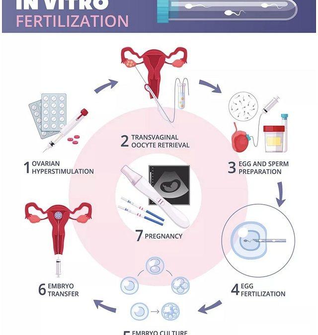 试管婴儿成功秘笈是什么？听北医三院主诊医生大实话