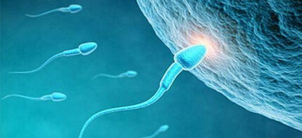 男人该怎么调理Y精子存活率才能生男孩？