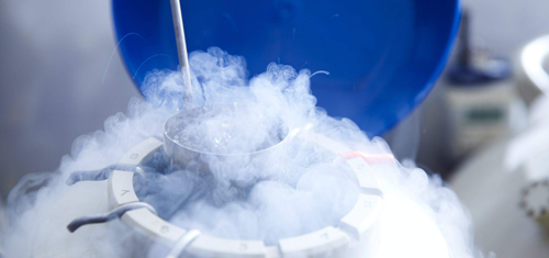 国家卫计委：冷冻卵子并非良药 生育还是“适龄最好”