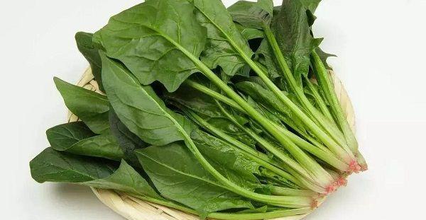 要孩子前吃什么青菜精子质量好数量多？