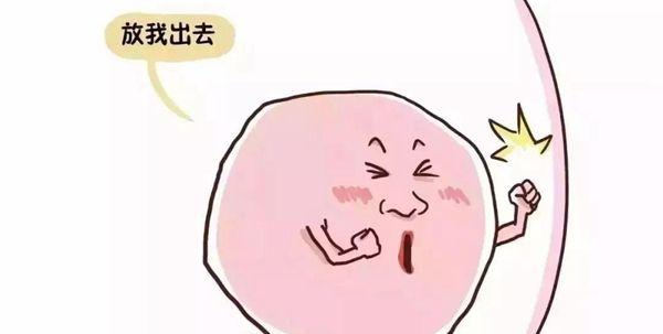 卵泡25mm一直不破跳绳多少下有用？