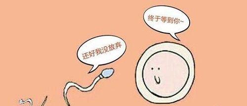 男性备孕精子在排卵期前需要攒几天？