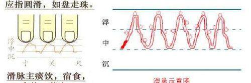 脉搏一直左右来回跳是滑脉吗？