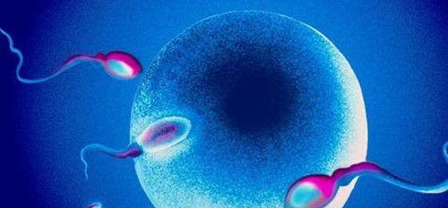 卵泡发育时萎缩长不大难治疗吗？