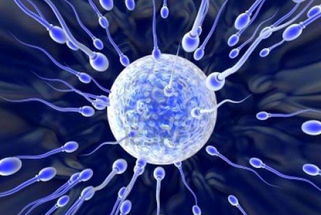 怎样才能提高怀男孩的几率？吃酸性食物行吗？